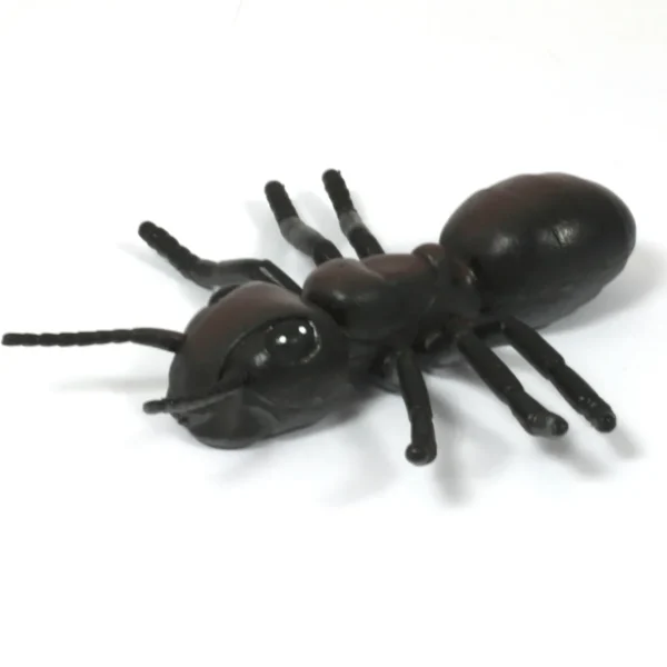 Medium Minibeast Insects 8pcs - Realistic Detailing & Durable