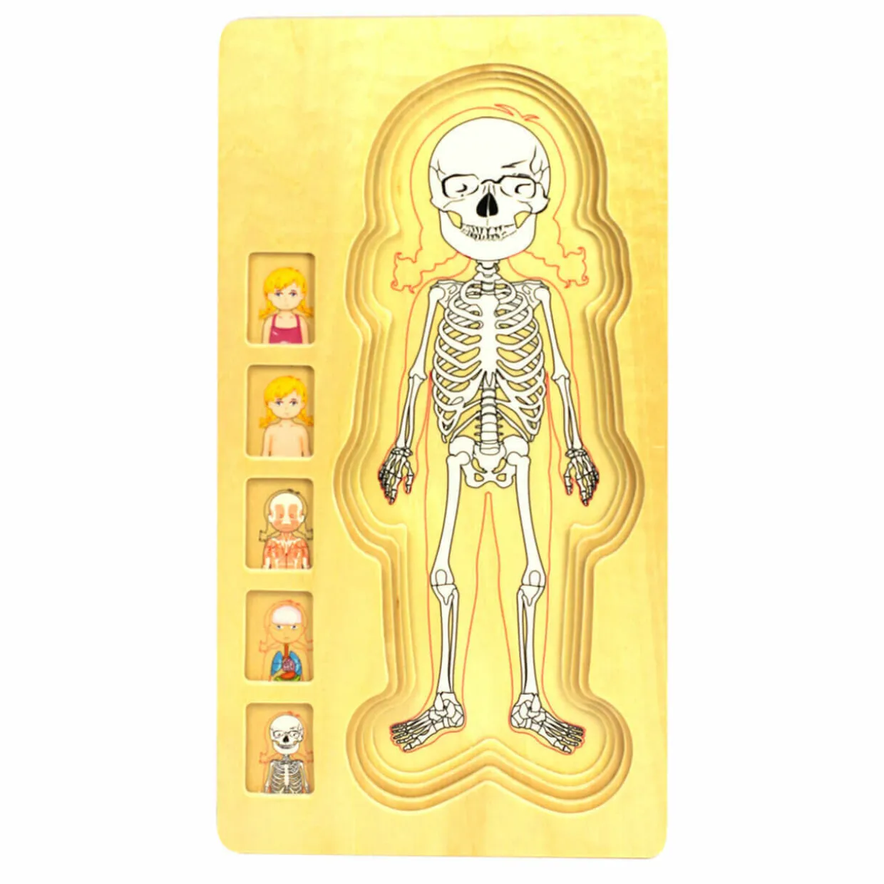 wooden_human_body_girl_la_1.webp WOODEN HUMAN BODY GIRL 5-LAYERED JIGSAW PUZZLE FOR FUN & LEARNING