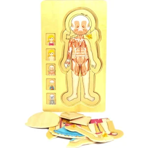 WOODEN HUMAN BODY GIRL 5-LAYERED JIGSAW PUZZLE FOR FUN & LEARNING